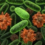 New Superbug Surfaces in Three States
