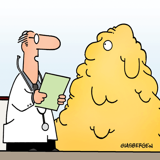 CholesterolMeds-cartoon