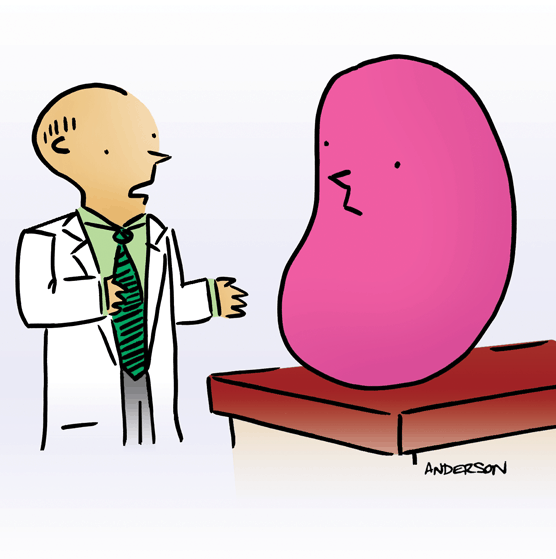 Jellybean-Cartoon