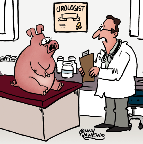Piggie-Cartoon