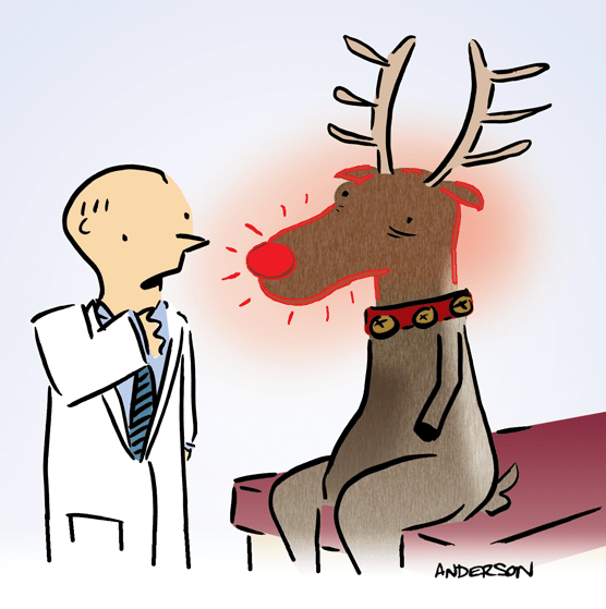 Reindeer-Sinus-Cartoon