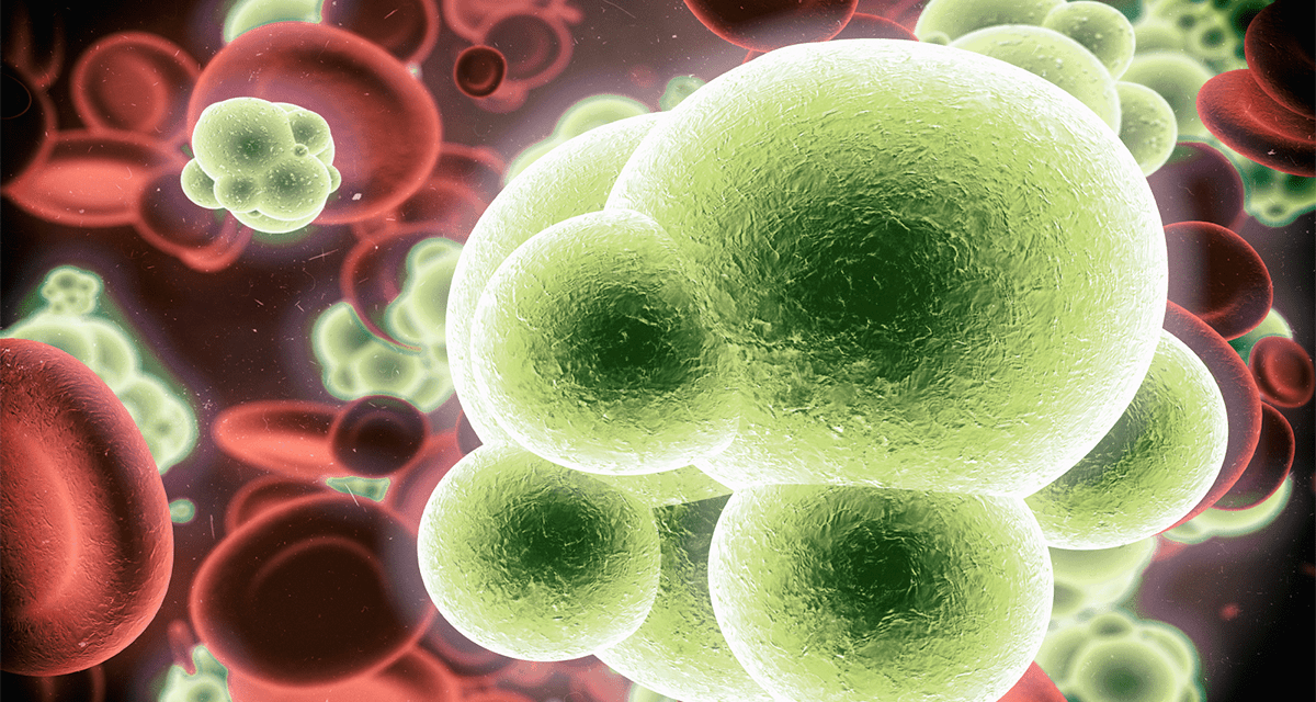 CROI 2013: Drug Combo Scores Early Against HCV/HIV