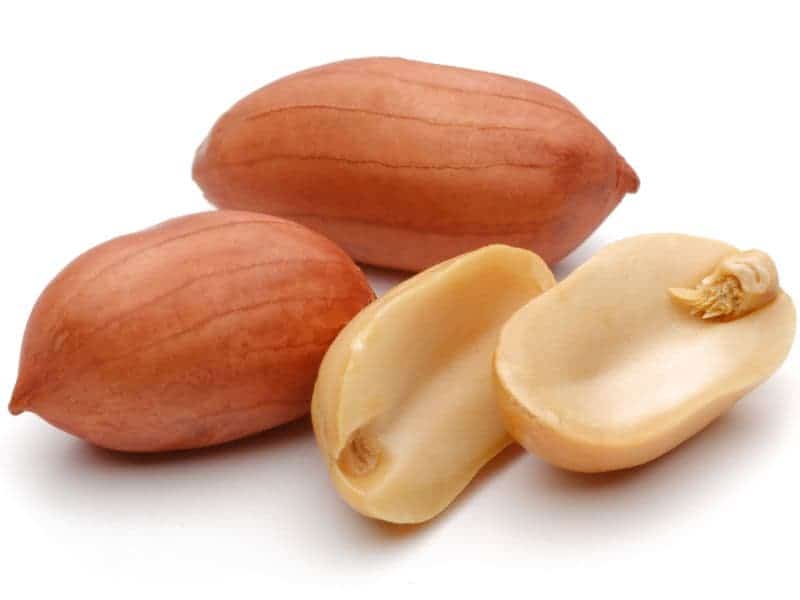 A Pediatric CDS Guide to Peanut Allergy