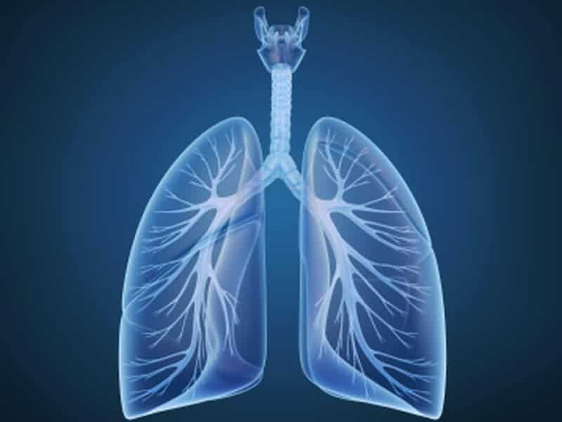 AI Model Uses Serial Imaging to Predict Lung Cancer Tx Response