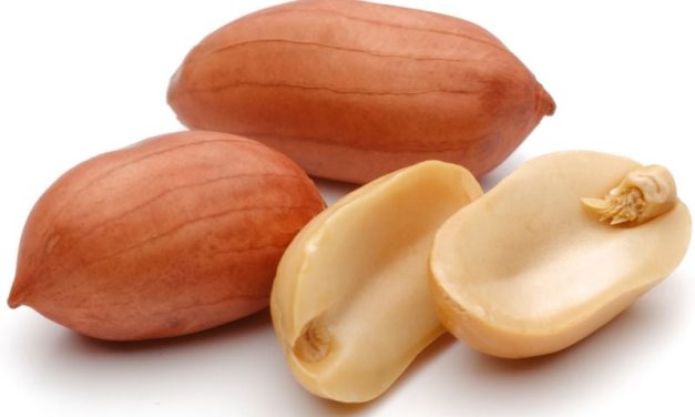 Sublingual Immunotherapy Safe, Effective for Treating Toddlers’ Peanut Allergy